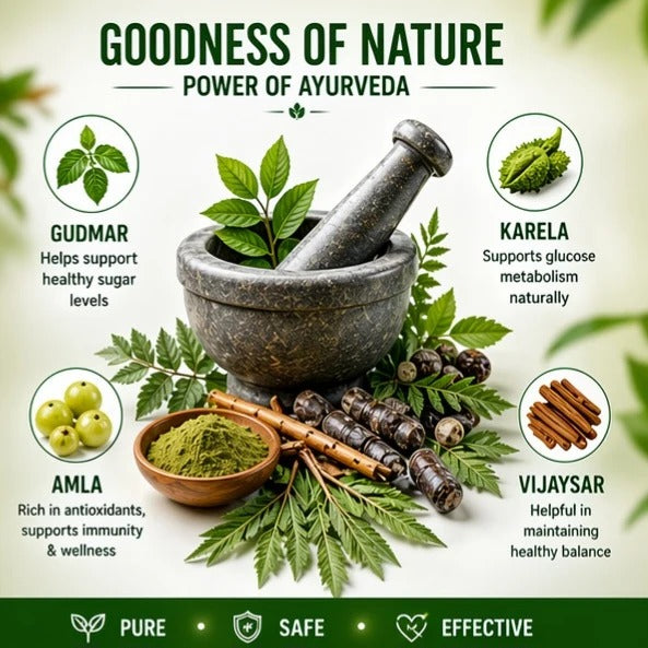 DiaCurex – Ayurvedic Blood Sugar Control Powder